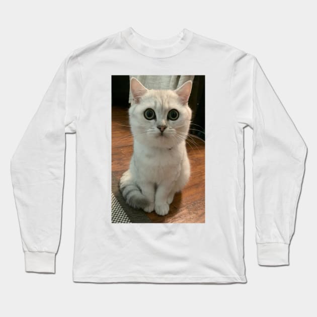 Silly Cat Long Sleeve T-Shirt by Wacky and Wild Shirts